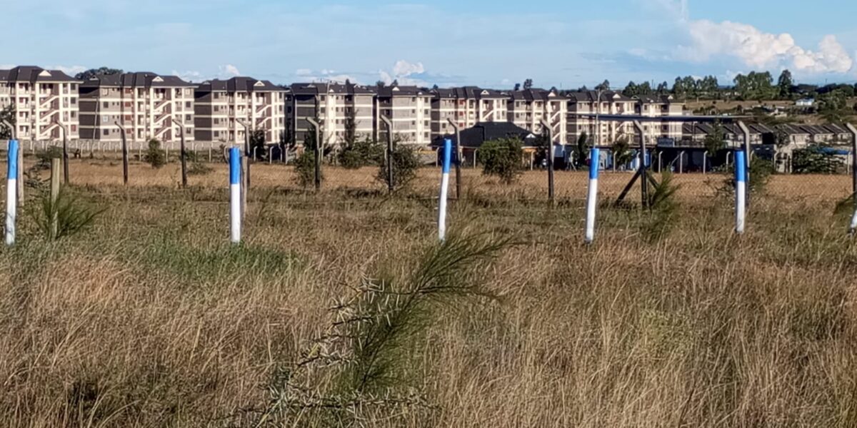 Kisaju, Kitengela Plots. 300 Metres From The Highway Kisaju, Kitengela Plots. 300 Metres From The Highway