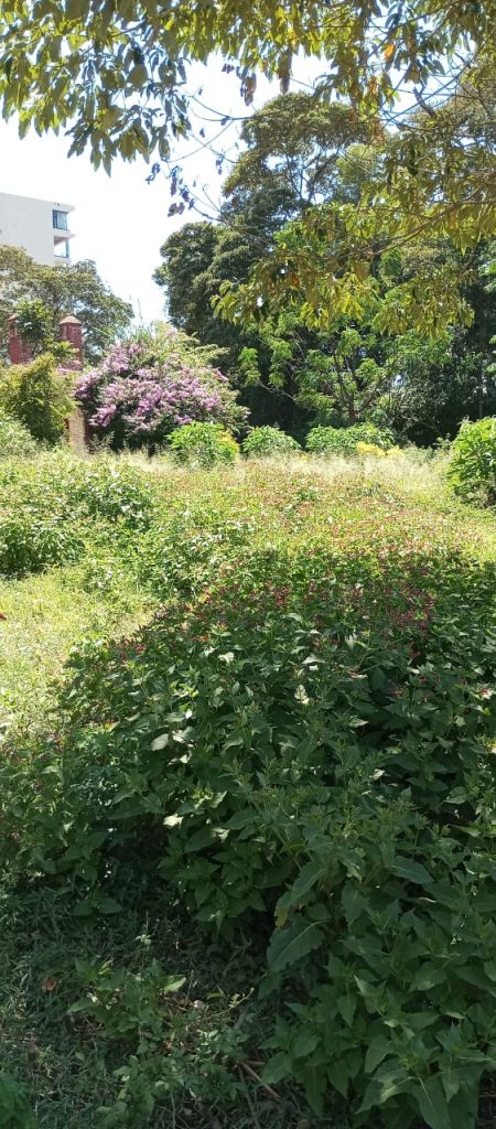 1.3 Acres, Riara Road, Kilimani