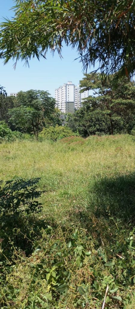 1.374 Acre Land Touching Riara Road, 300Meteres from Ngong Road