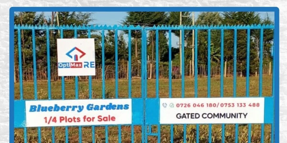 Blueberry Gardens – Chepkanga, Eldoret
