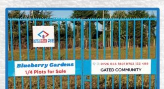 Blueberry Gardens – Chepkanga, Eldoret