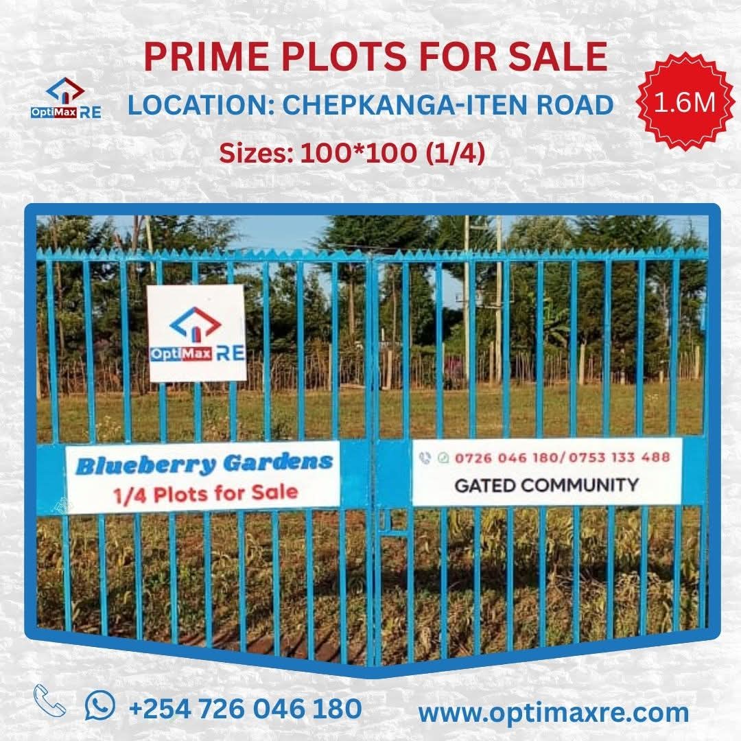 Blueberry Gardens – Chepkanga, Eldoret
